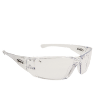 Scope Synergy Clear Specs 10PK 600C