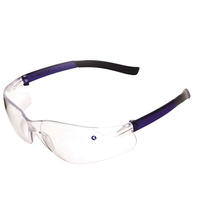 Pro Choice Futura Clear Specs 12PK 9000